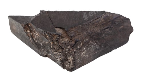 Preview: unpolished Jet (Gagate) rock isolated on white