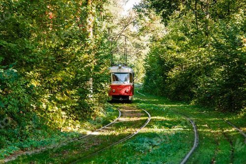 Preview: Tram and tram rails in colorful forest