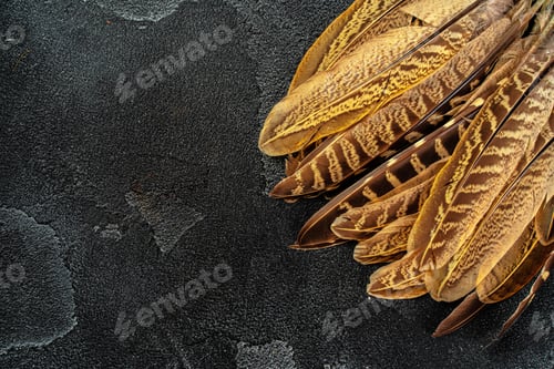 Preview: Pheasant feathers on dark textured background, copy space