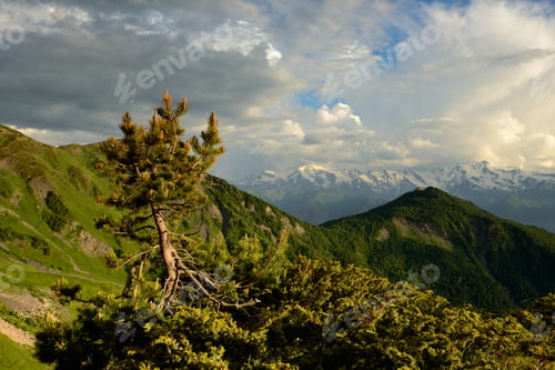Preview: Trees and mountains, Svaneti, Georgia