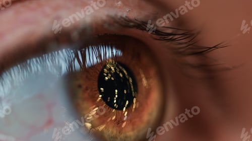 Preview: Christmas tree reflected in the pupil of the eye