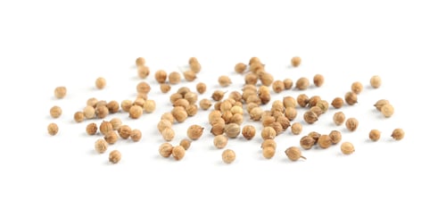 Preview: Scattered dried coriander seeds on white background