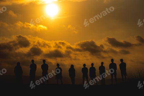 Preview: The silhouette of a business network group of business people shaking hands to express