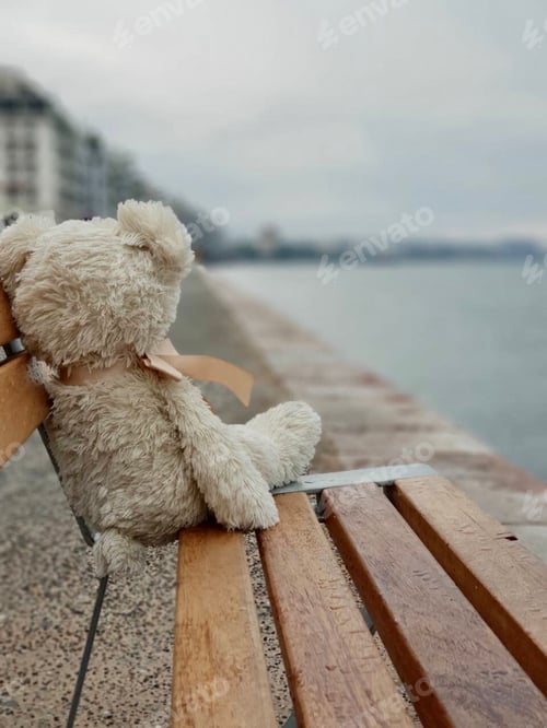 Preview: Toy, teddy bear, forgotten on a bench on the seafront