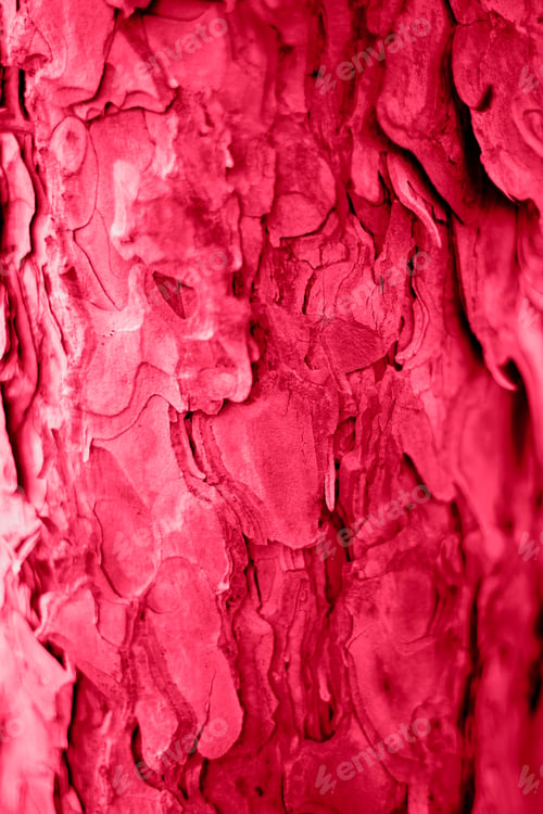 Preview: tree bark texture in the color of the year 2023 viva magenta