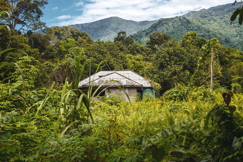 Preview: BORNEO / SARAWAK / MALAYSIA / JUNE 2014: Isolated house in the m