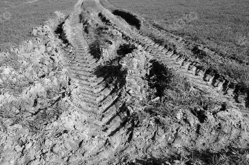 Preview: Closeup of tractor traces in the field; a grayscale shot