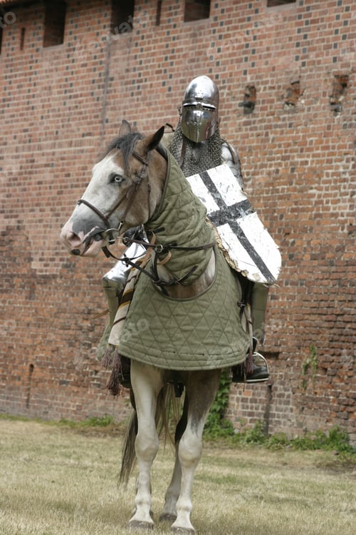 Preview: Knight on horse