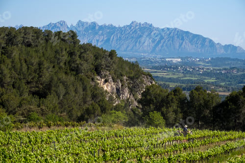 Preview: Beautiful view of a wine region of Penedes in Catalonia Spain