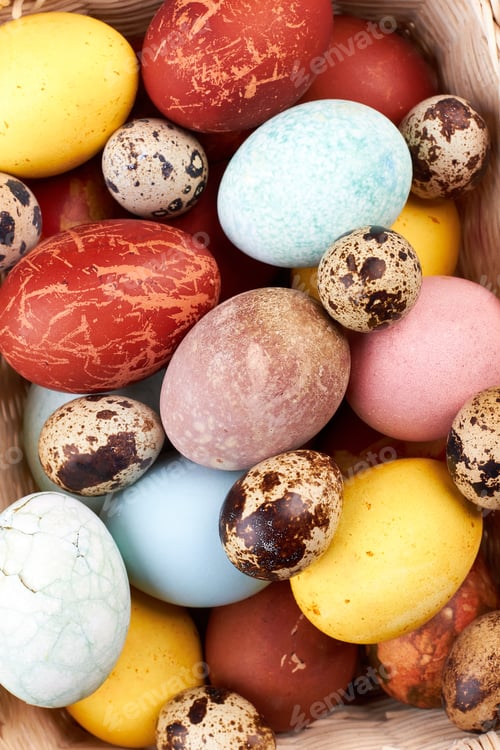 Preview: Quail and chicken eggs