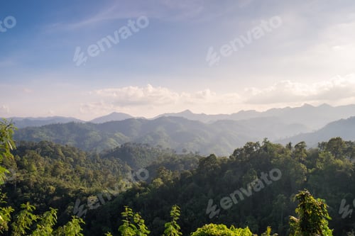 Preview: Tropical rain forest landscpae