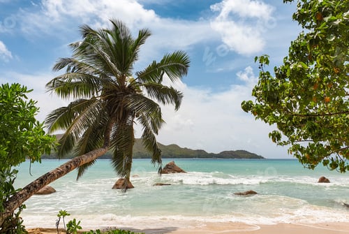 Preview: Amazing tropical beach landscape on paradise island with palm trees and turquoise sea