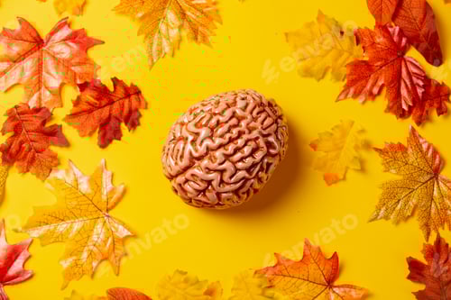 Preview: Human brain with autumn leaves on yellow background. Top view