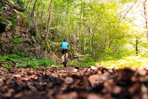 Preview: biker riding his mountain bike in a forest path