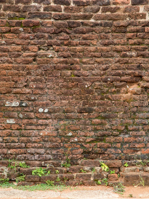 Weathered Brick Wall Background with Green Moss