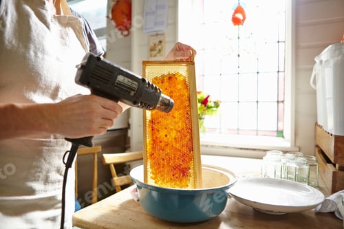Preview: Female beekeeper in kitchen melting wax on frame of honey