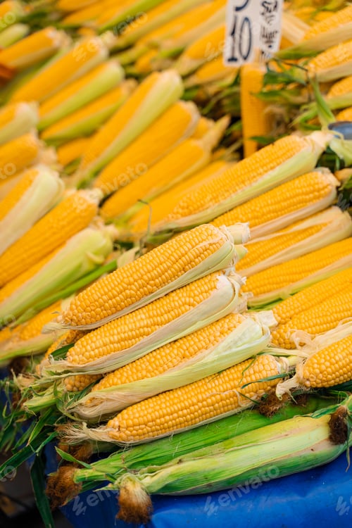 Preview: Raw corn displayed on counter in Turkish market