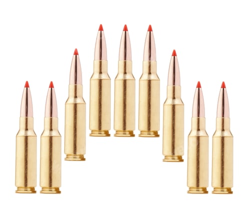Preview: rifle bullets on white