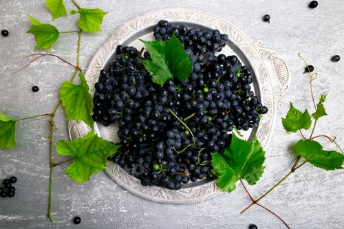 Preview: Red wine grapes in silver tray on grey background. Top view. Copy space.
