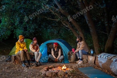 Preview: Group of multiethnic friends happy around the bonfire camping hike trekkers excursion in the nature