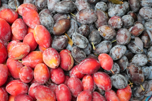 Preview: A colorful display of red and purple plums for sale, representing freshness and variety in fruits