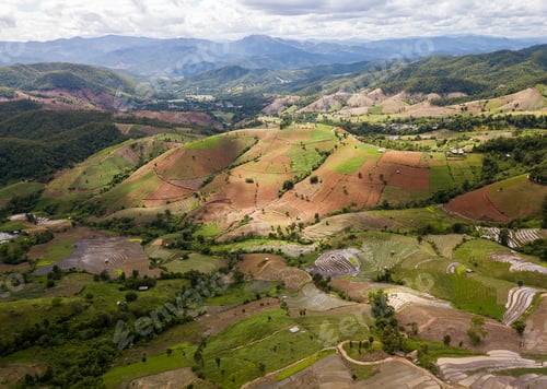 Preview: Top view Terraced rice field at Mae Cham Chiangmai Northern Thailand