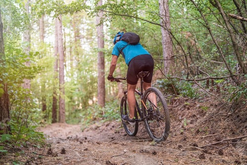 Preview: the cyclist goes down at forest path