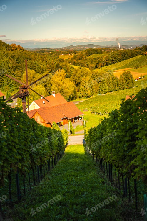 Preview: Styrian Tuscany Vineyard in autumn near Weingut Regele in Ewitsch