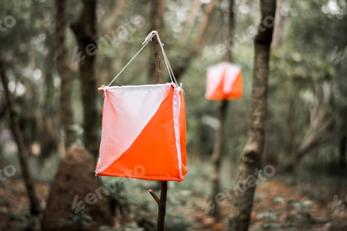 Preview: Orienteering box outdoor in a forest