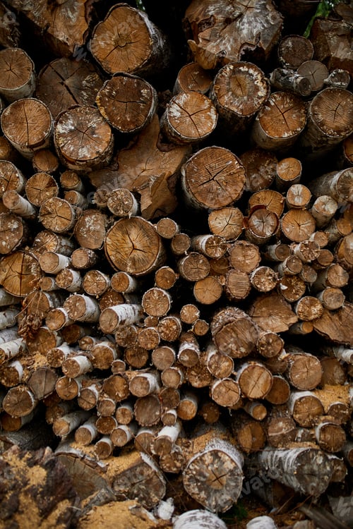 Preview: Dry chopped, sawn wooden logs wooden pole texture