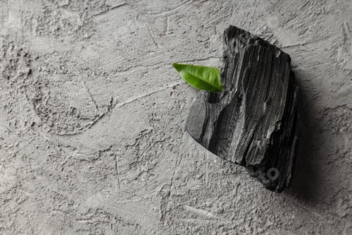 Preview: Natural wood charcoal on gray textured background