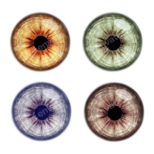 Preview: Set with different color eyes on white background