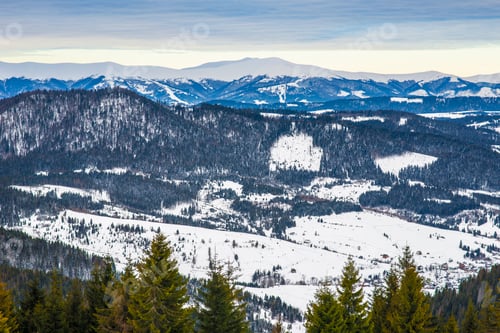Preview: Spruce winter forest overlooking the mountains