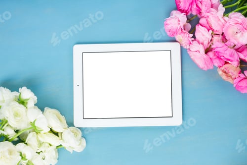 Preview: Pink and white ranunculus flowers