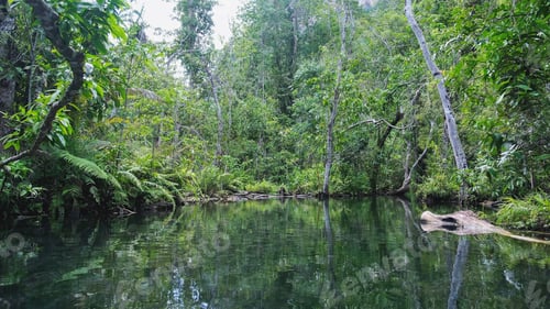 Preview: The river along the greenery rainforest from boat view in Surat Thani, Thailand