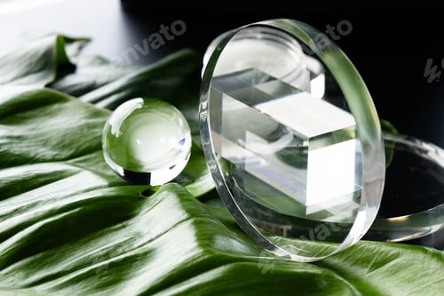 Preview: Tropical spa setting with glass cosmetic products on green leaves background