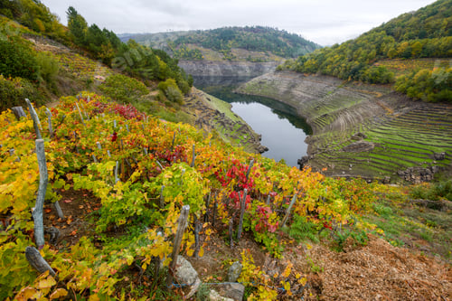 Preview: Ribeira Sacra and its hillsides covered with vineyards
