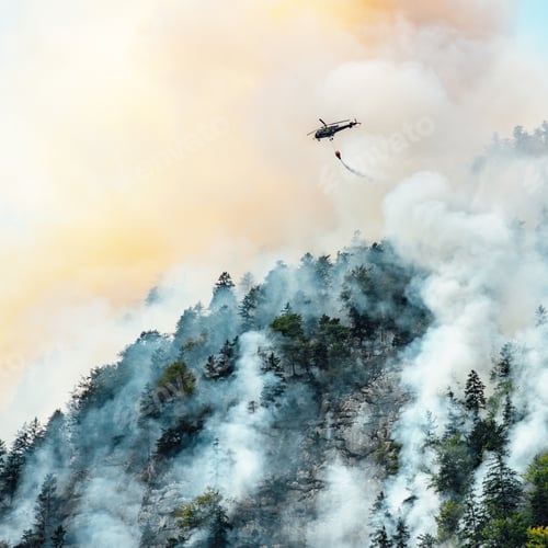 Preview: extinguishing a forest fire