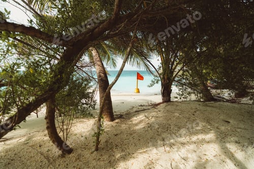 Preview: Serene beach with coconut palm tree