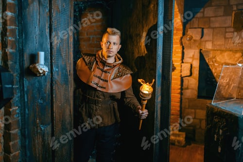 Preview: Traveler with torch in hand wandering the maze