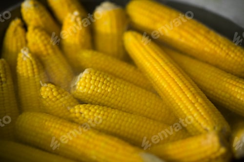Preview: Tasty and freshly cooked corn in big bowl outdoor for sale