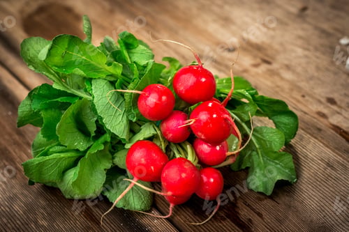 Preview: Bunch of fresh red radishes