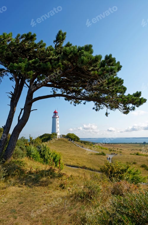 Preview: Germany, Hiddensee, Dornbusch, view to landscape and lighthouse