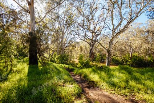 Preview: Yarra Trails in Melbourne Australia