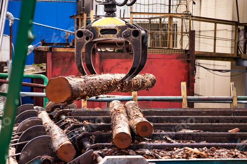 Preview: Harvester log loader lifting up logs from hot water in plywood mill