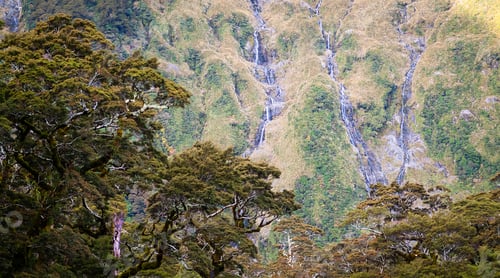 Preview: Trees And Waterfalls Background New Zealand