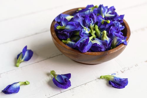 Preview: Butterfly pea or blue pea flower
