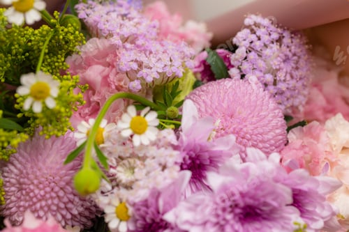 Preview: Variety of purple flower in a box