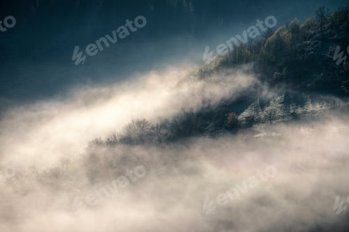 Preview: The fog slowly recedes with the first light of day on the forested slopes
