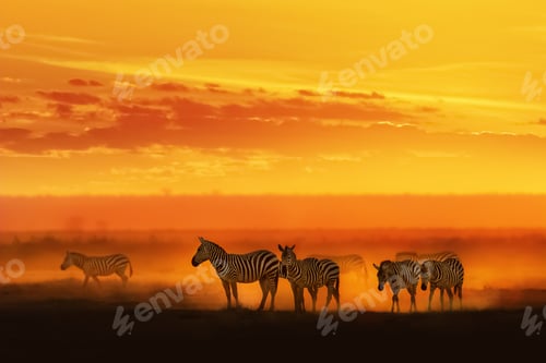 Vista previa: Zebra in Vibrant African Sunset